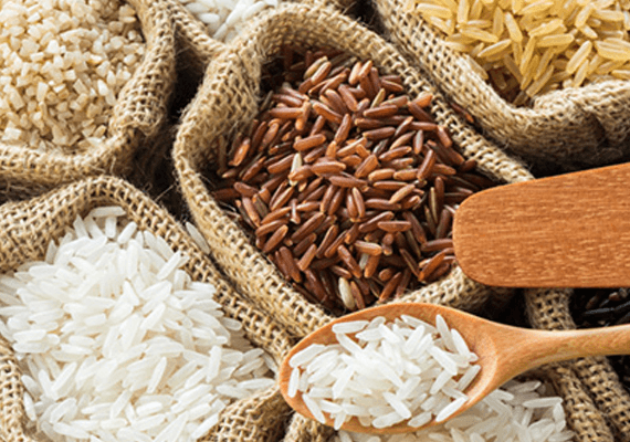 Rice
